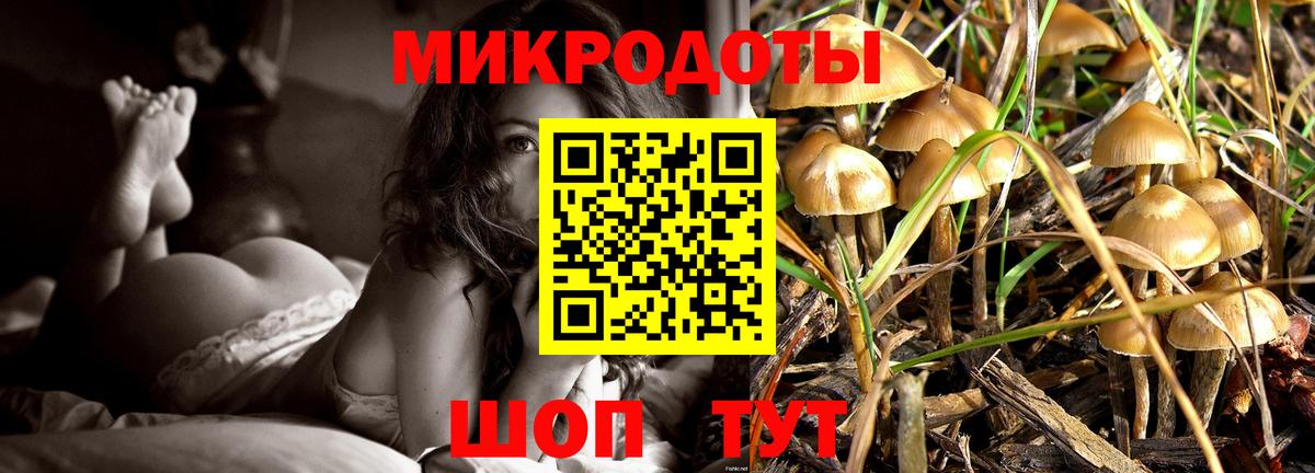 Волжск  Галлюциногенные грибы мицелий  Вход с VPN 