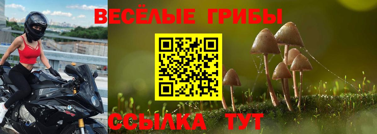 Псилоцибиновые грибы GOLDEN TEACHER Волжск